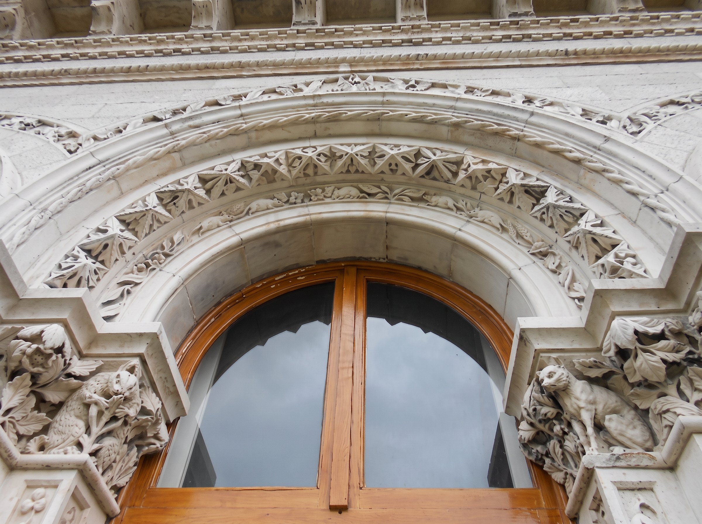 Trinity College Dublin Museum — Repointing & Detail