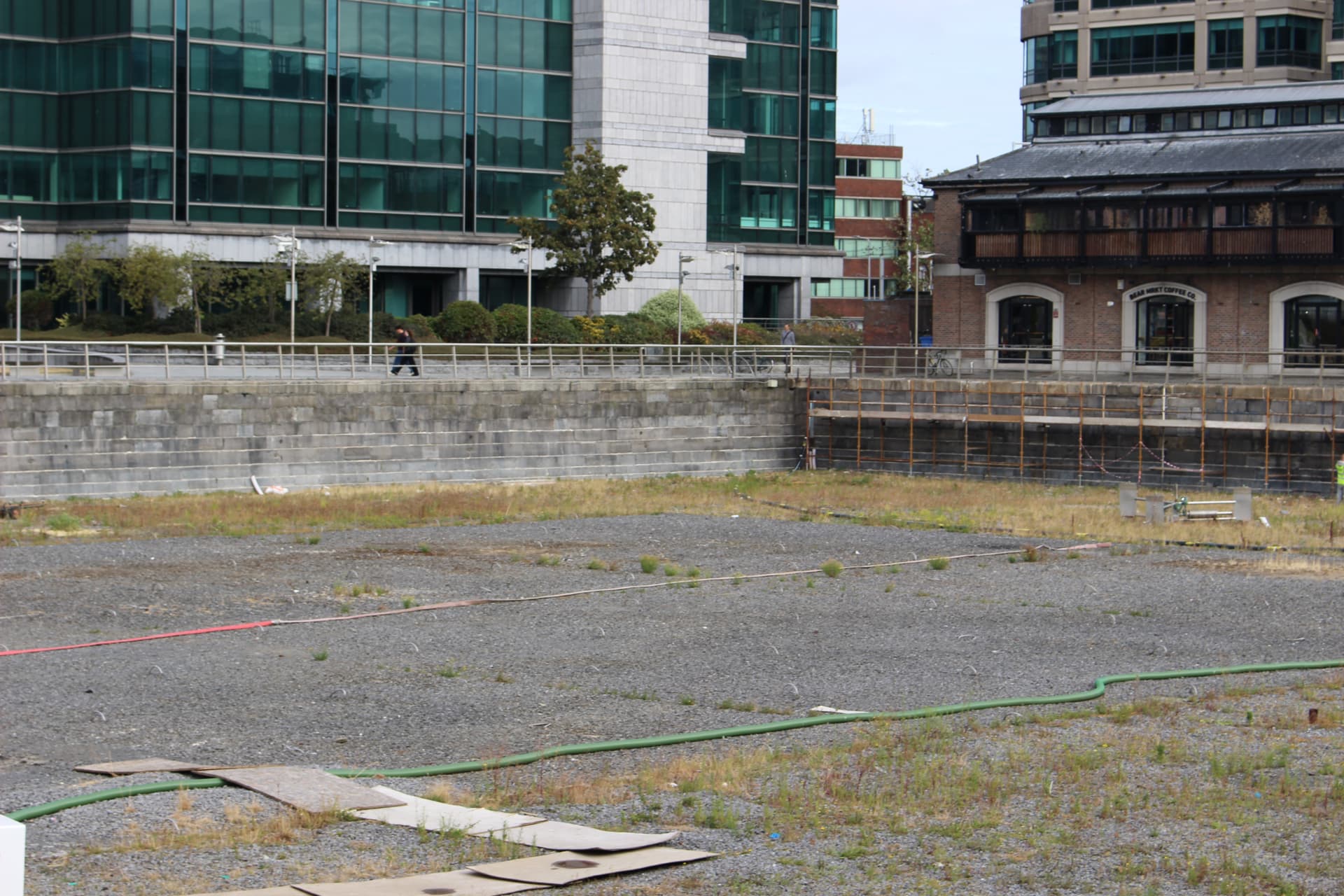 George's Dock conservation photograph 2