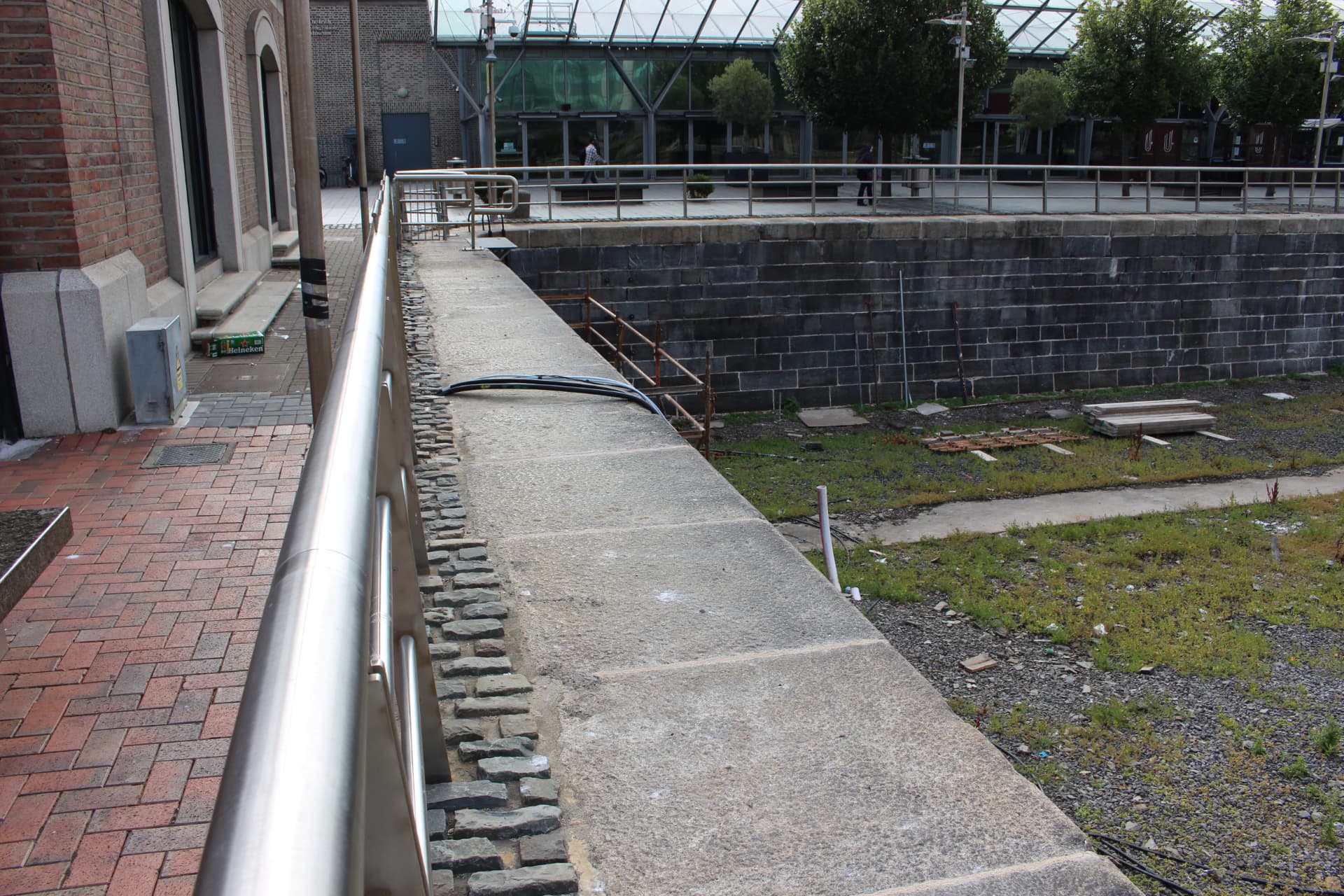 George's Dock conservation photograph 5