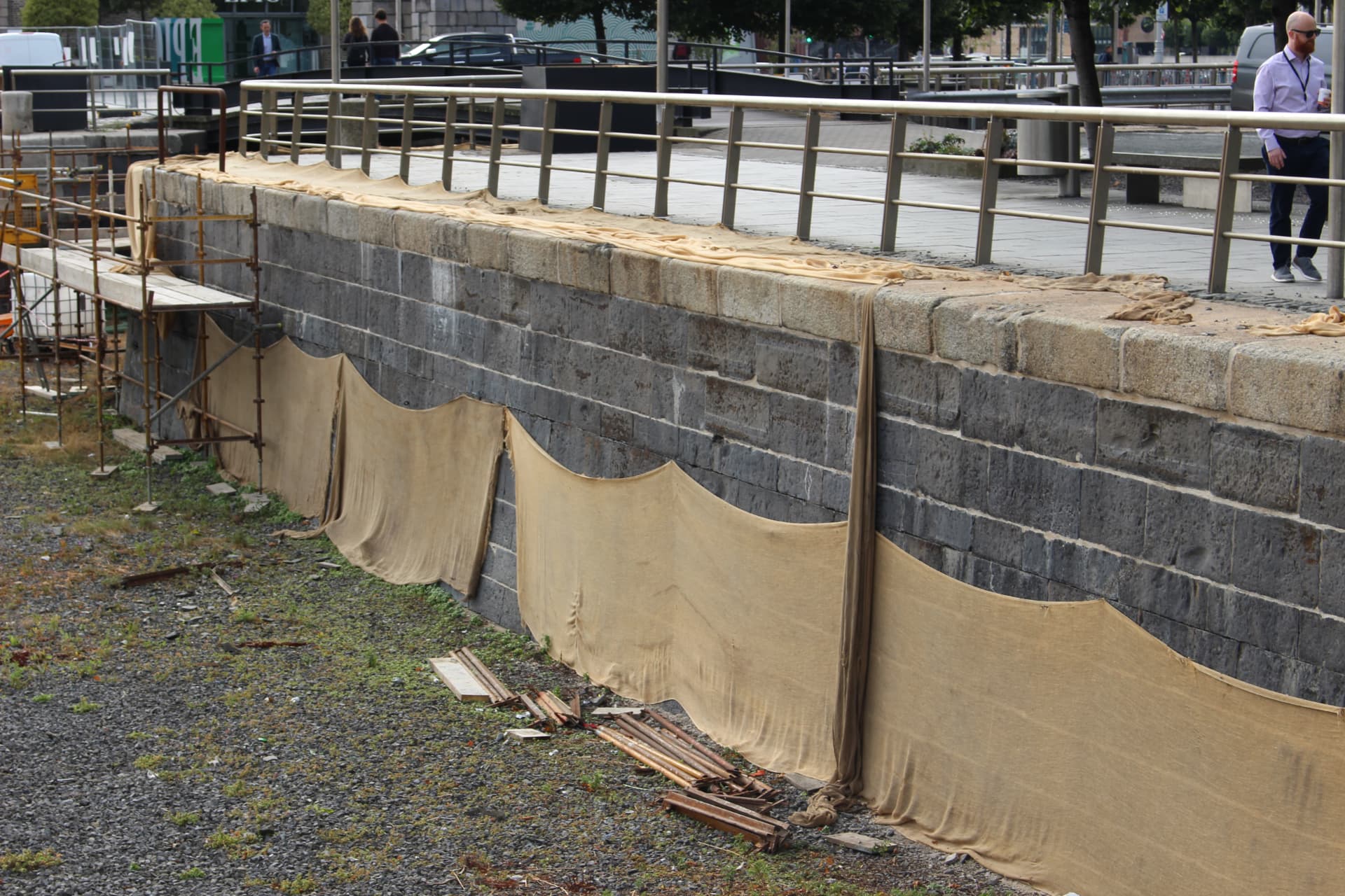 George's Dock conservation photograph 3